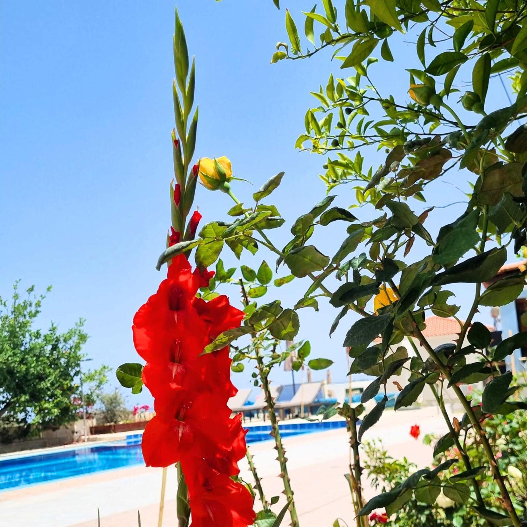 Infinity Wellness Boutique Hotel Afrata Exterior foto